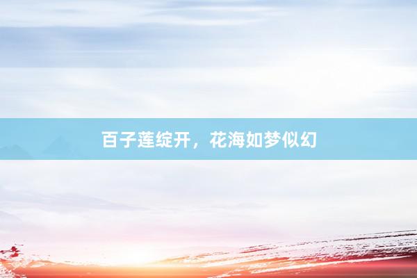 百子莲绽开，花海如梦似幻